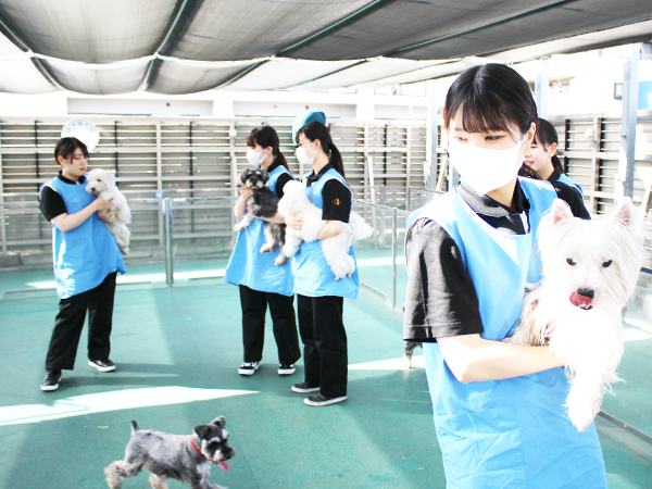 ワクチン接種組と、お散歩組！